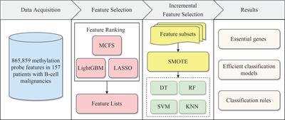 Identification of methylation signatures associated with CAR T cell in B-cell acute lymphoblastic leukemia and non-hodgkin’s lymphoma